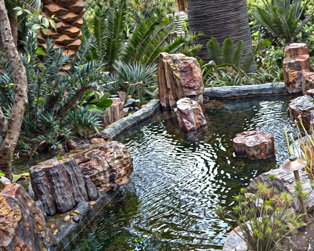 Professional residential landscaping for year-round maintenance across Monrovia, CA - The Koi Pond