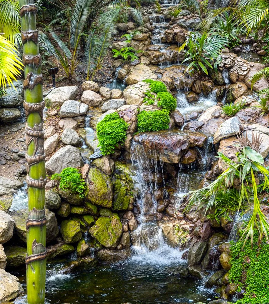 Trusted landscaping services in Monrovia, CA by The Koi Pond
