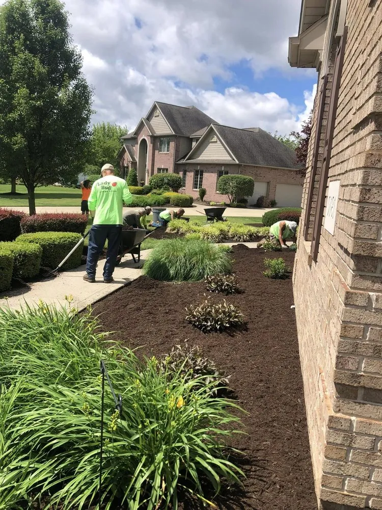 Expert outdoor landscaping for homes across Massillon, OH - The Lady Bug