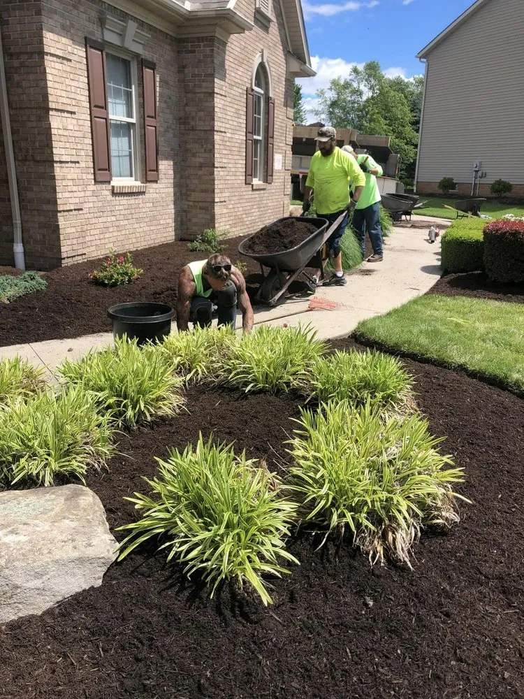 Top-rated lawn care service in Massillon, OH by The Lady Bug
