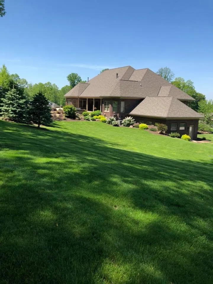 Top-rated yard cleanup service experts serving Massillon, OH - The Lady Bug