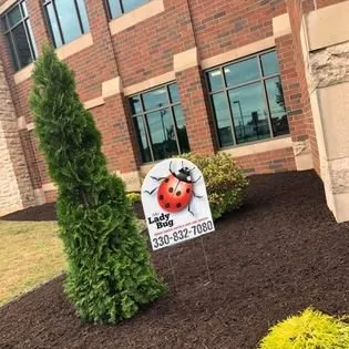 Affordable residential landscaping in Massillon, OH by The Lady Bug