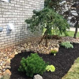 Expert landscaping services experts serving Massillon, OH - The Lady Bug