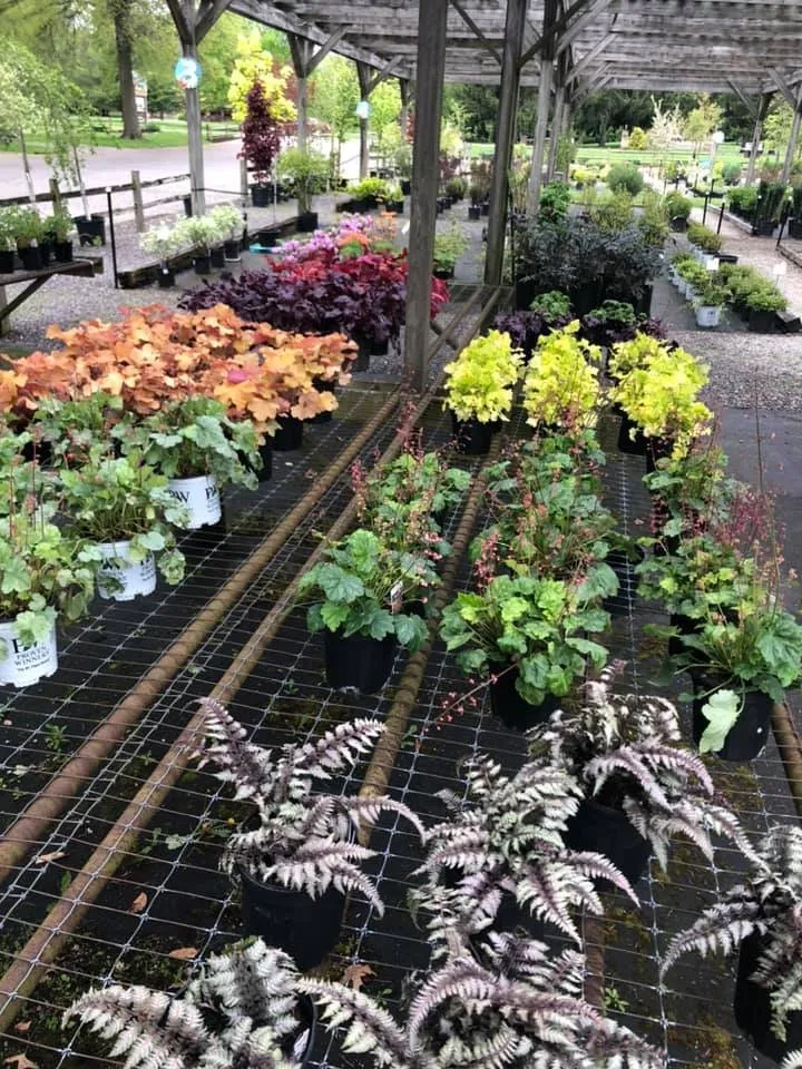 Trusted lawn care service experts serving Massillon, OH - The Lady Bug