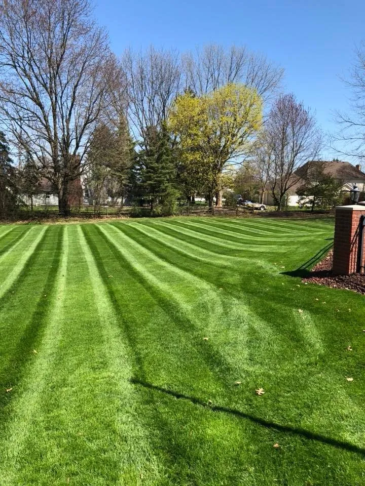 Trusted yard maintenance experts serving Massillon, OH - The Lady Bug