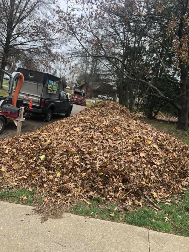 Expert landscape design for homes across Massillon, OH - The Lady Bug