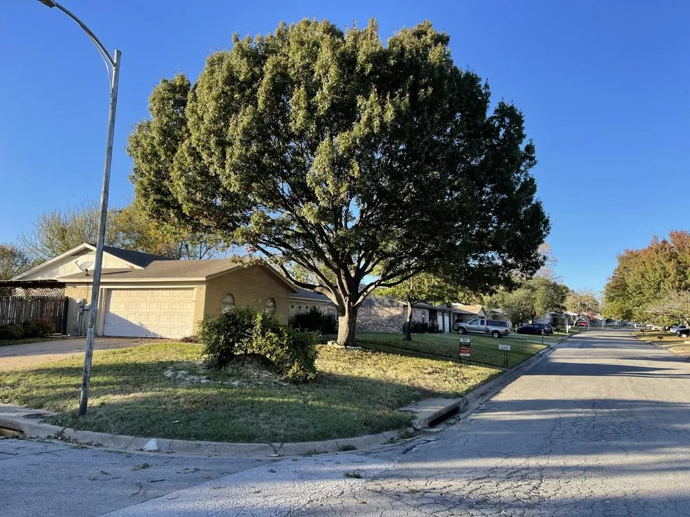 Affordable landscaping services in Whitney, TX - The Lamoureux Way