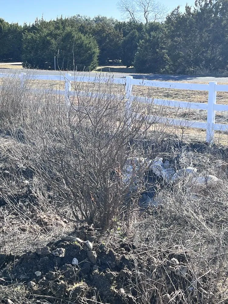 Custom yard maintenance experts serving Round Rock, TX - The Land Adjusters