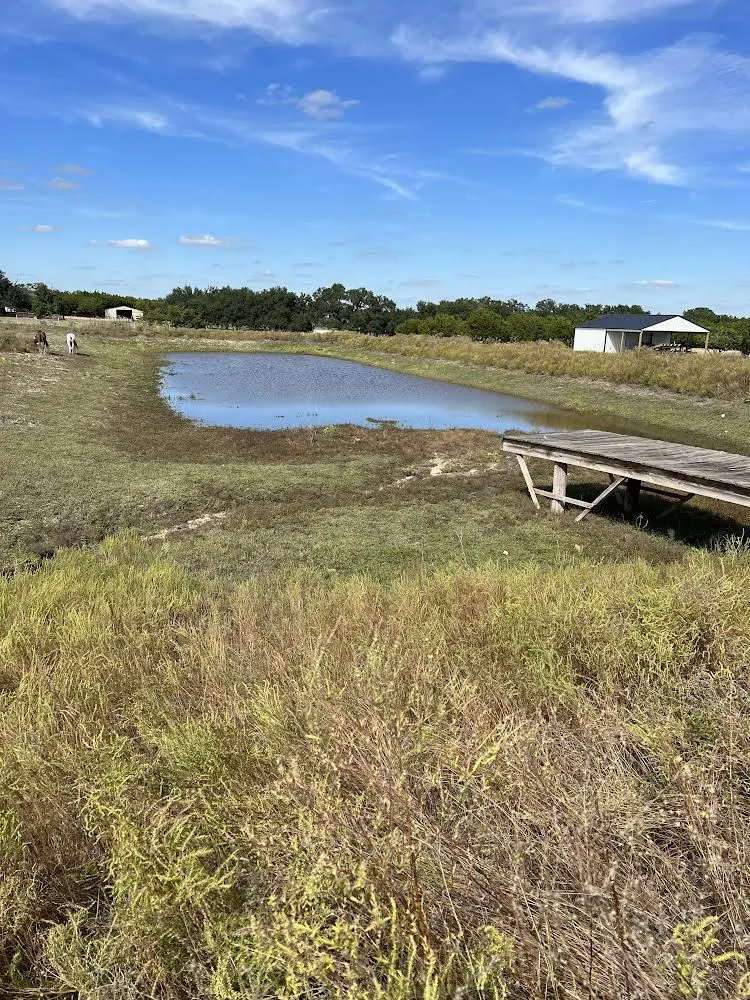 Top-rated garden landscaping for outdoor upgrades across Round Rock, TX - The Land Adjusters