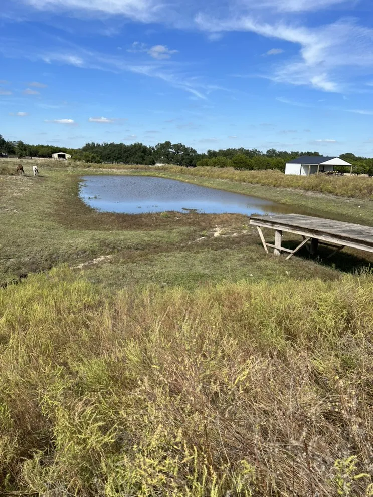 Local lawn care service in Round Rock, TX - The Land Adjusters