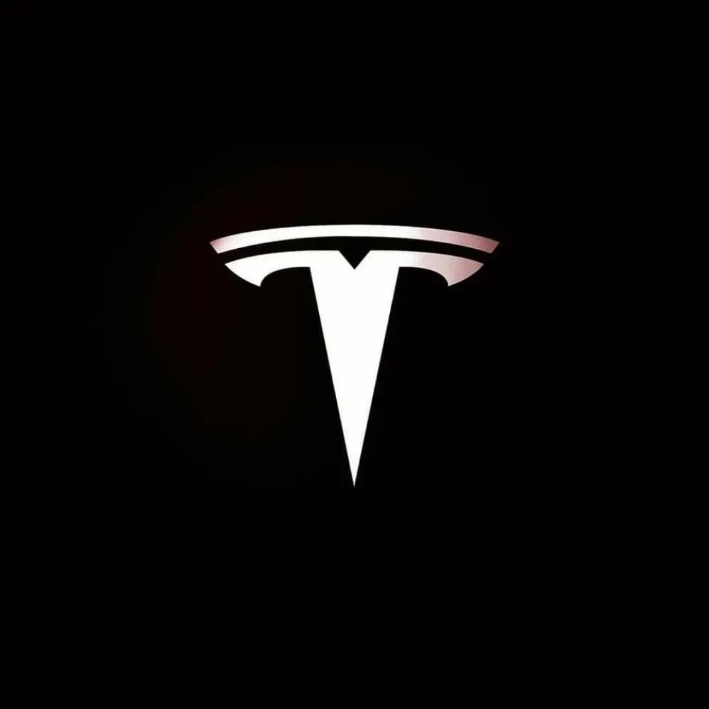 Affordable yard cleanup service experts serving Wilmington, NC - The Land Expert's Clearing Services