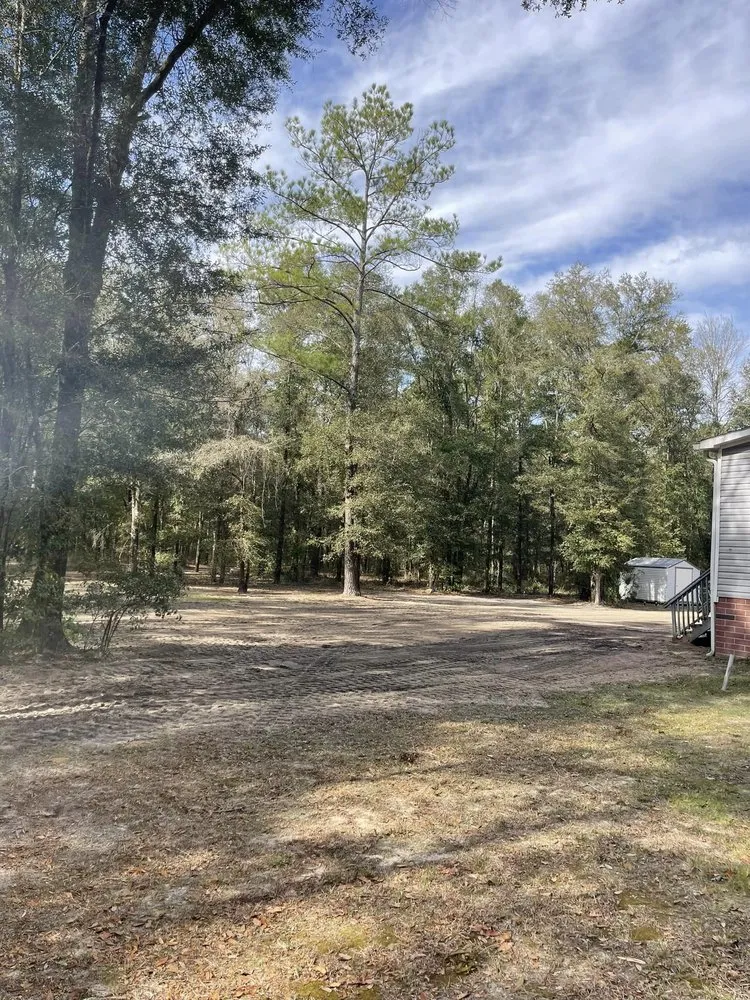 Trusted outdoor landscaping for year-round maintenance in Alachua, FL by The Land Gator