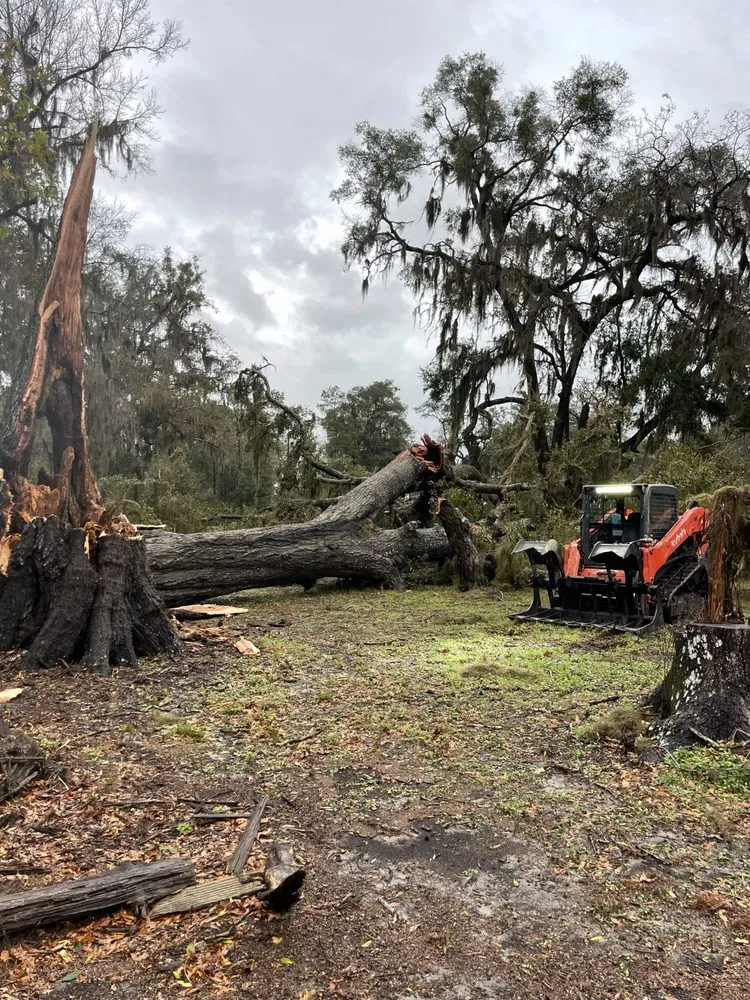Custom yard maintenance for outdoor upgrades in Alachua, FL by The Land Gator