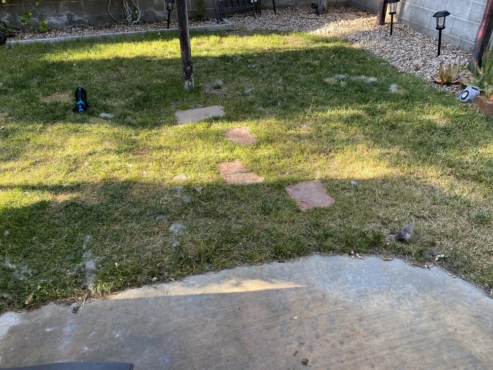 Expert lawn mowing service in Las Vegas, NV by The Land Keepers