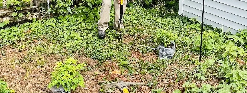 Reliable yard maintenance experts serving Takoma Park, MD - The Land Scaping King