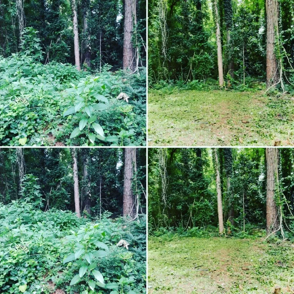 Affordable outdoor landscaping for year-round maintenance across Atlanta, GA - The Landscape Addict