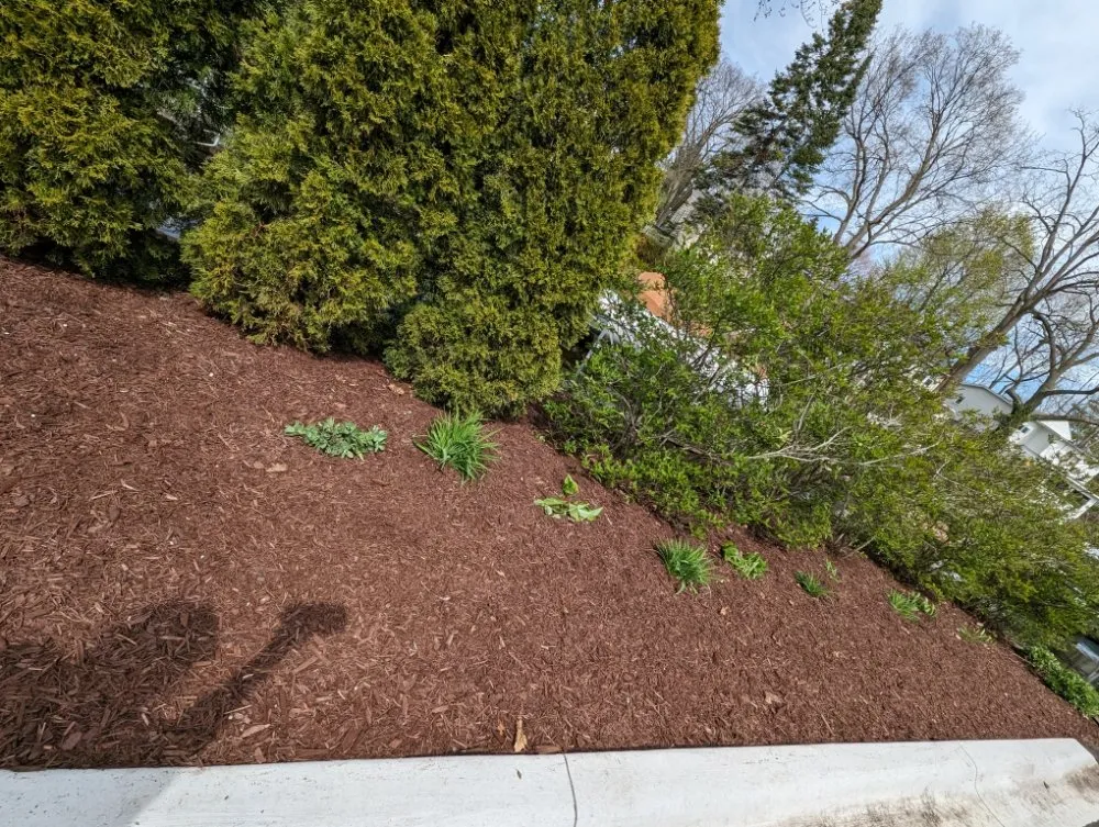 Expert yard maintenance in Britton, MI by The Landscape Artisan