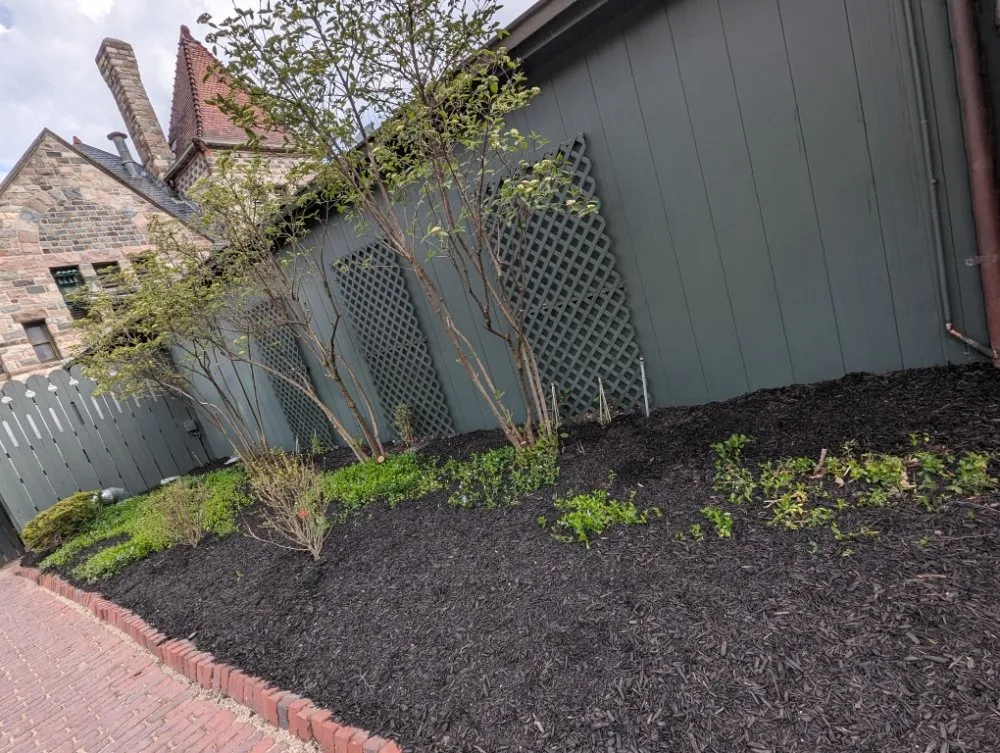 Top-rated yard cleanup service near you in Britton, MI by The Landscape Artisan