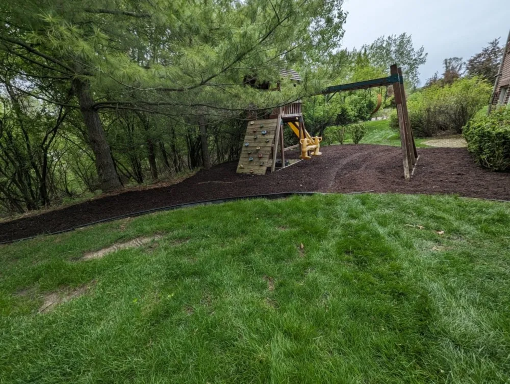 Professional yard cleanup service near you across Britton, MI - The Landscape Artisan