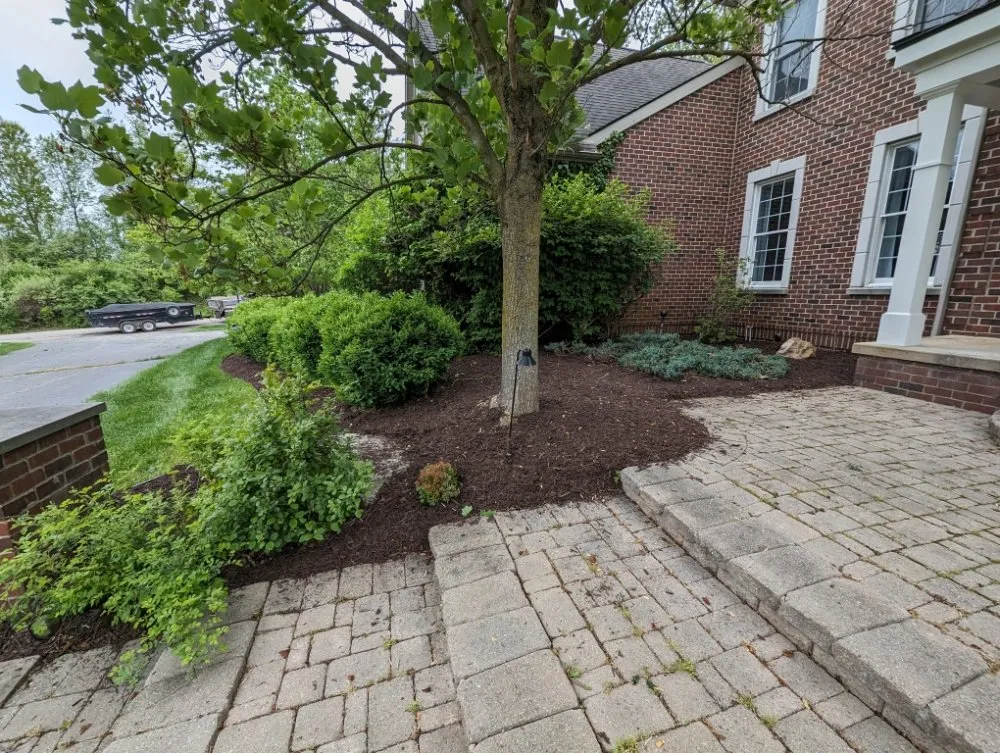 Reliable landscaping services in Britton, MI by The Landscape Artisan