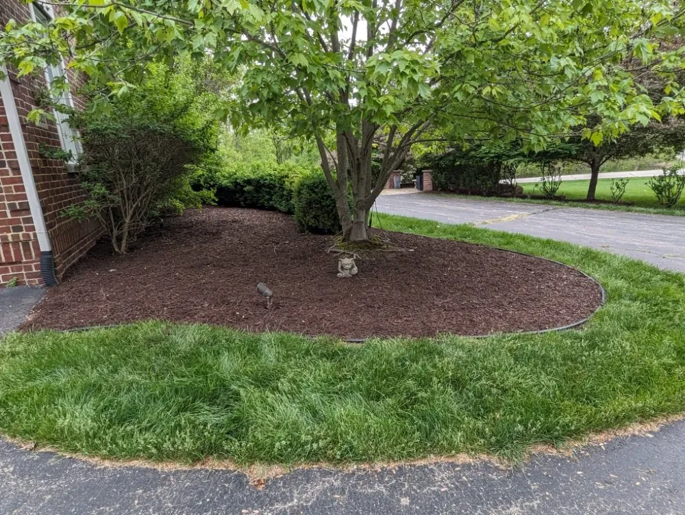 Reliable lawn care service in Britton, MI by The Landscape Artisan