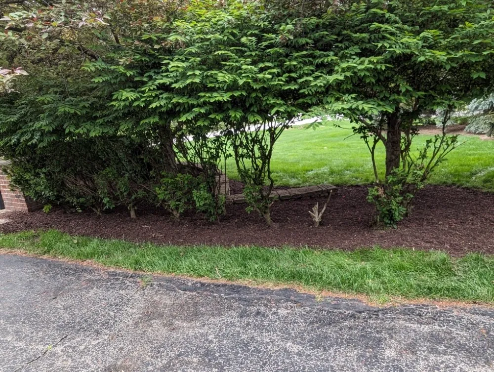 Affordable landscaping services for beautiful yards in Britton, MI by The Landscape Artisan
