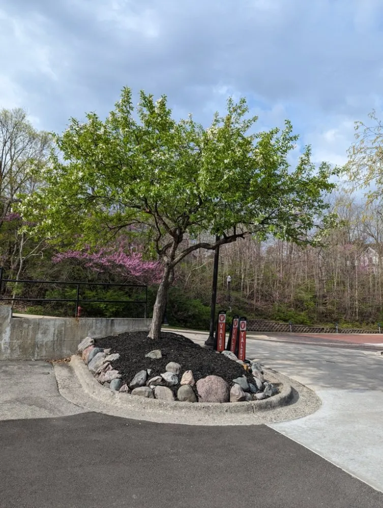 Reliable outdoor landscaping in Britton, MI - The Landscape Artisan