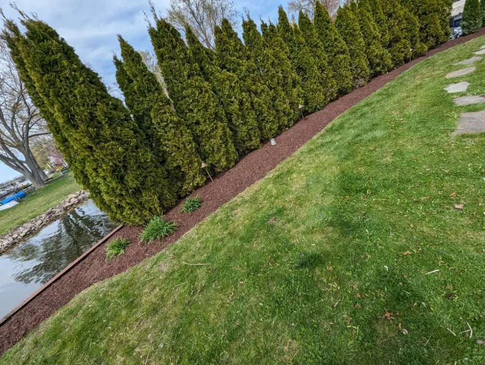 Affordable lawn care service experts serving Britton, MI - The Landscape Artisan