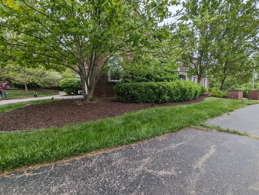 Expert yard cleanup service in Britton, MI by The Landscape Artisan