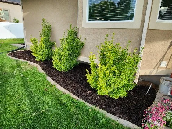 Custom landscaping services in Clinton, UT by The landscape barbers