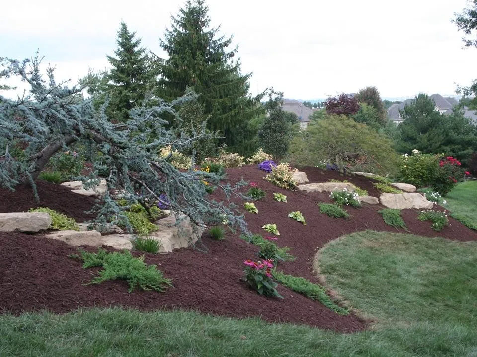 Top-rated landscaping services in Bethel Park, PA - The Landscape Center