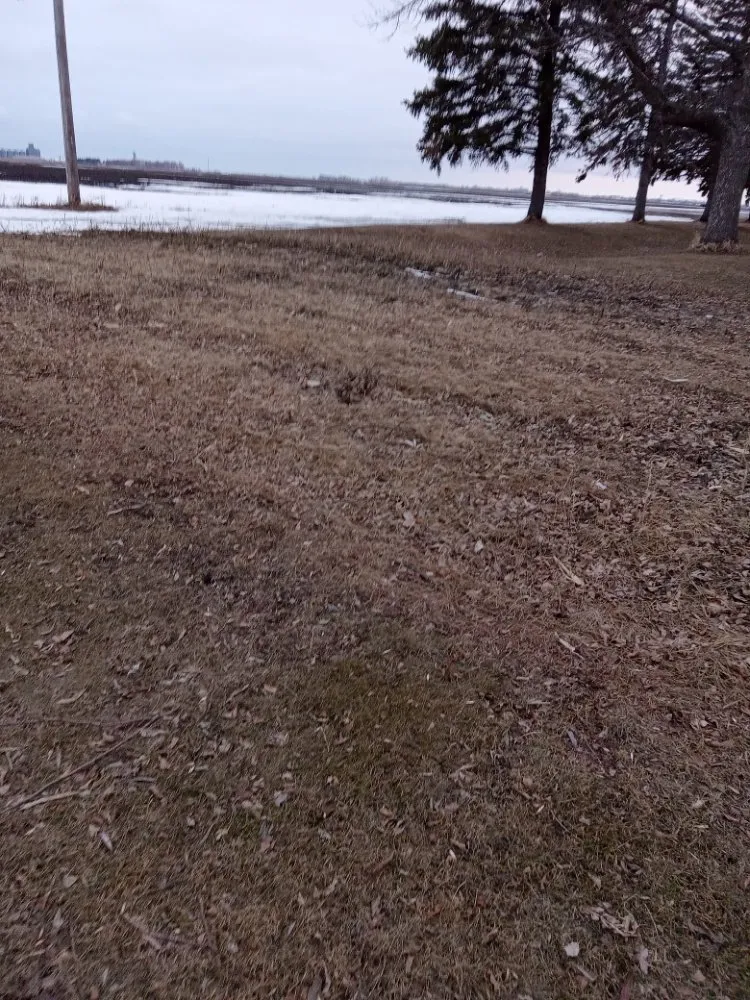 Expert landscape design experts serving Glyndon, MN - The Landscape Clean Up Guy