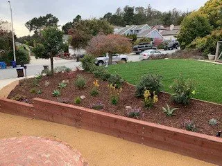 Top-rated residential landscaping for year-round maintenance in Capitola, CA by The Landscape Company