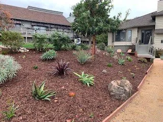 Local outdoor landscaping experts serving Capitola, CA - The Landscape Company