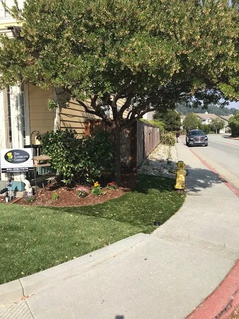 Affordable residential landscaping with custom design in Capitola, CA by The Landscape Company