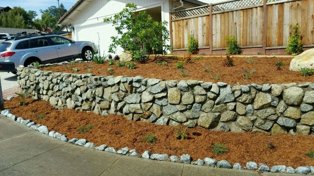 Affordable yard cleanup service experts serving Capitola, CA - The Landscape Company