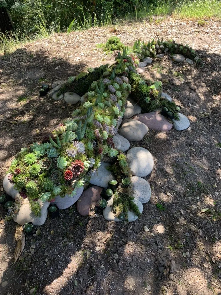 Top-rated outdoor landscaping in Capitola, CA by The Landscape Company