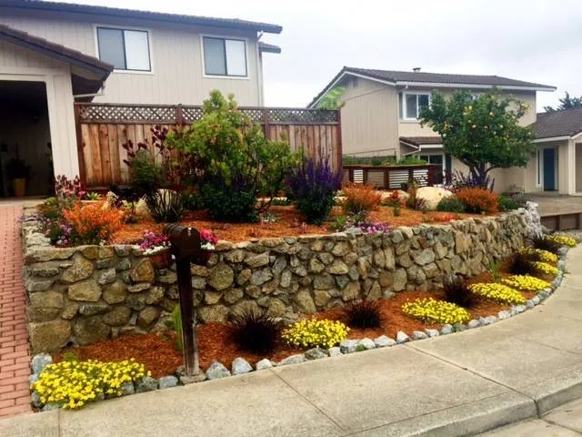 Affordable yard cleanup service experts serving Capitola, CA - The Landscape Company