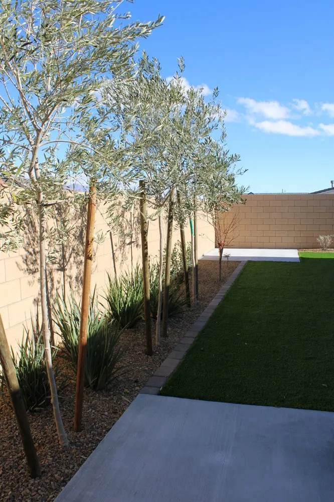 Top-rated yard cleanup service for residential properties across Las Vegas, NV - The Landscape Company