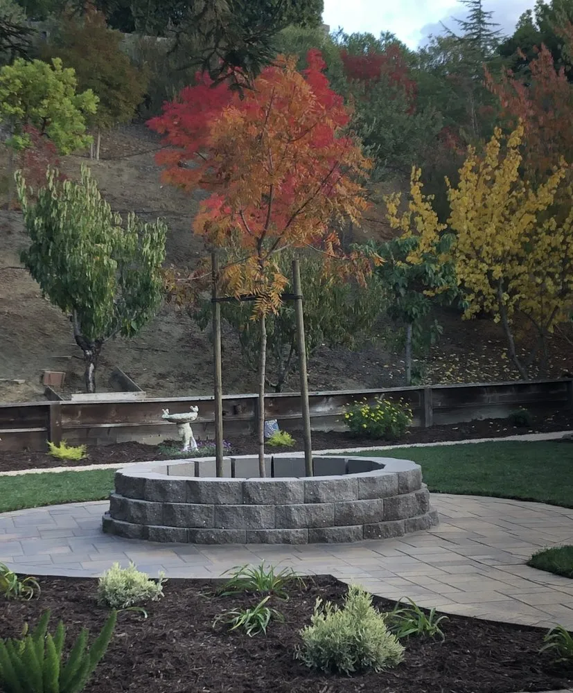 Local lawn mowing service experts serving Martinez, CA - The Landscape Company