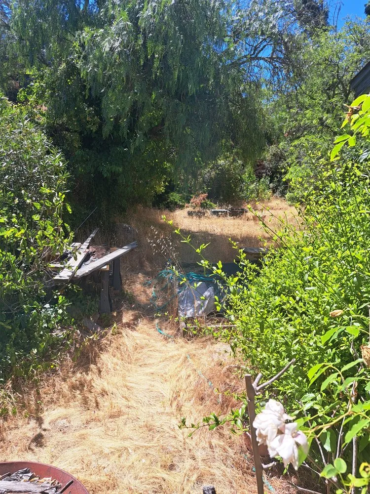 Local landscaping services with custom design across Martinez, CA - The Landscape Company