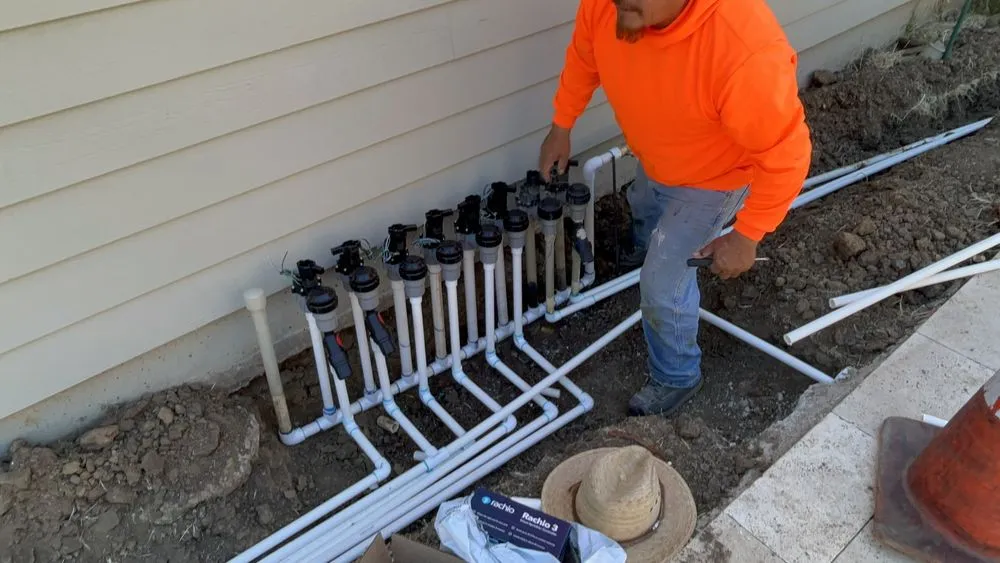 Trusted yard cleanup service for year-round maintenance in Martinez, CA by The Landscape Company