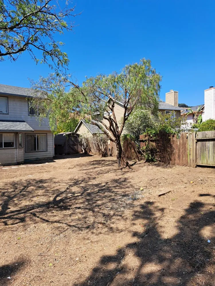 Expert garden landscaping near you across Martinez, CA - The Landscape Company