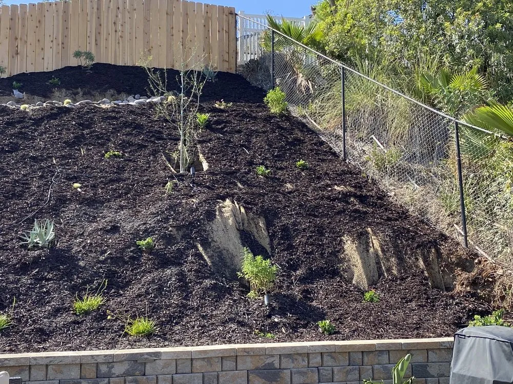 Professional lawn mowing service in San Diego, CA by The Landscape Company