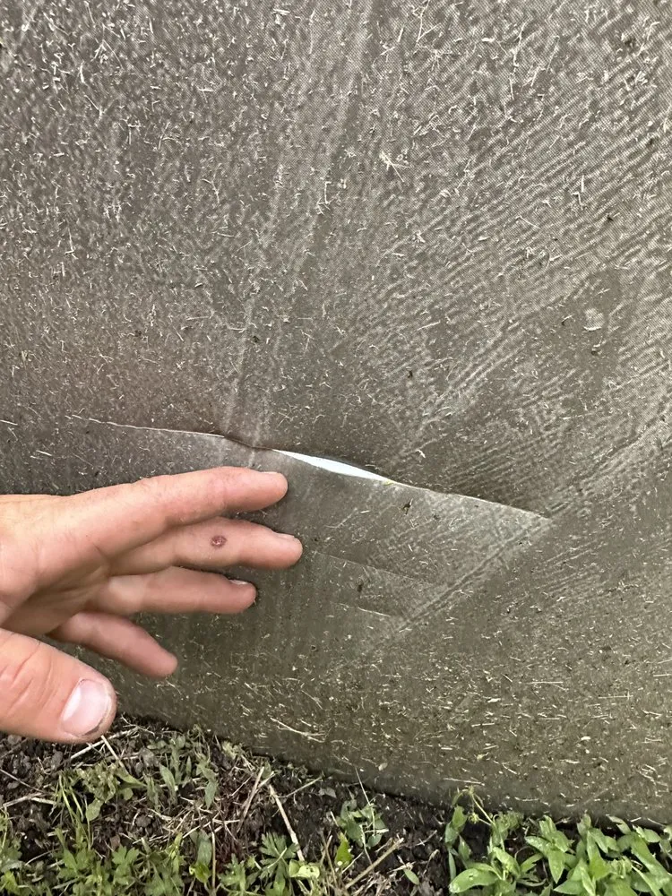 Reliable lawn care service for beautiful yards across San Diego, CA - The Landscape Company