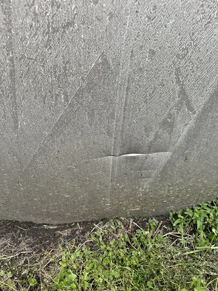 Custom yard cleanup service in San Diego, CA by The Landscape Company