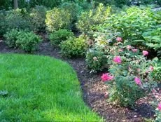 Top-rated yard maintenance for homes in Dawsonville, GA by The Landscape Consulting Group