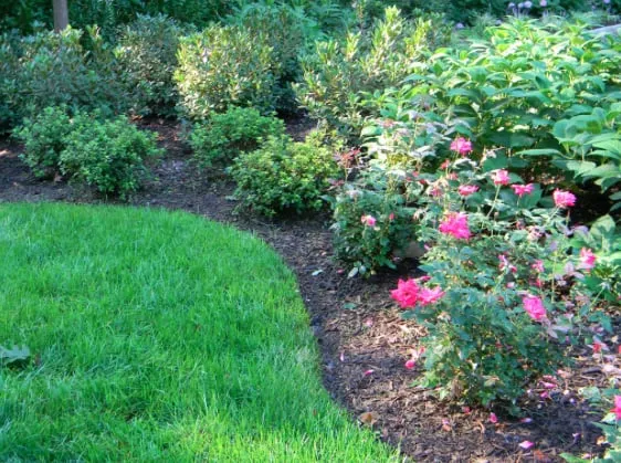 Reliable landscape design experts serving Dawsonville, GA - The Landscape Consulting Group