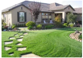 Custom yard cleanup service for year-round maintenance in Dawsonville, GA by The Landscape Consulting Group