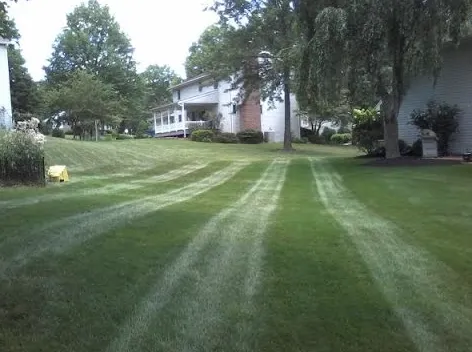 Professional residential landscaping with custom design across Dawsonville, GA - The Landscape Consulting Group